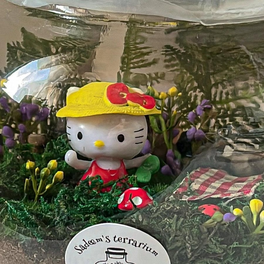 Hello kitty picnic