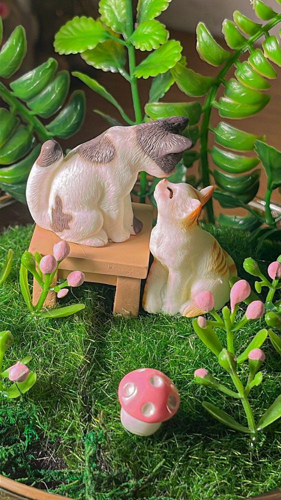Cats flowers