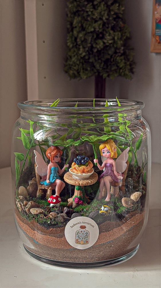 Fairy tea garden