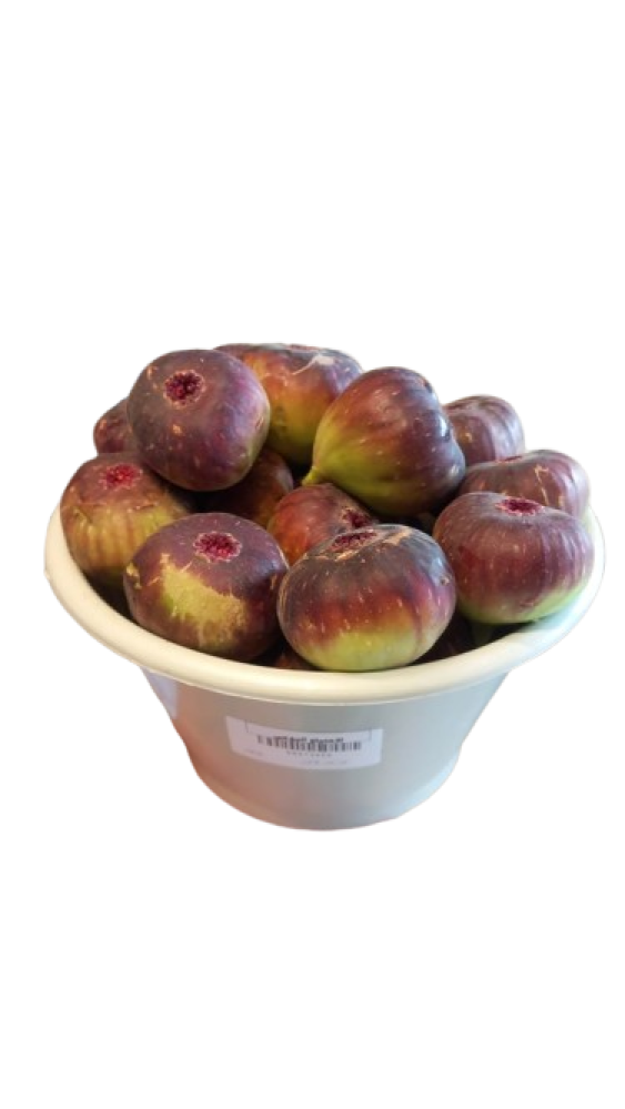تين احمر سطل