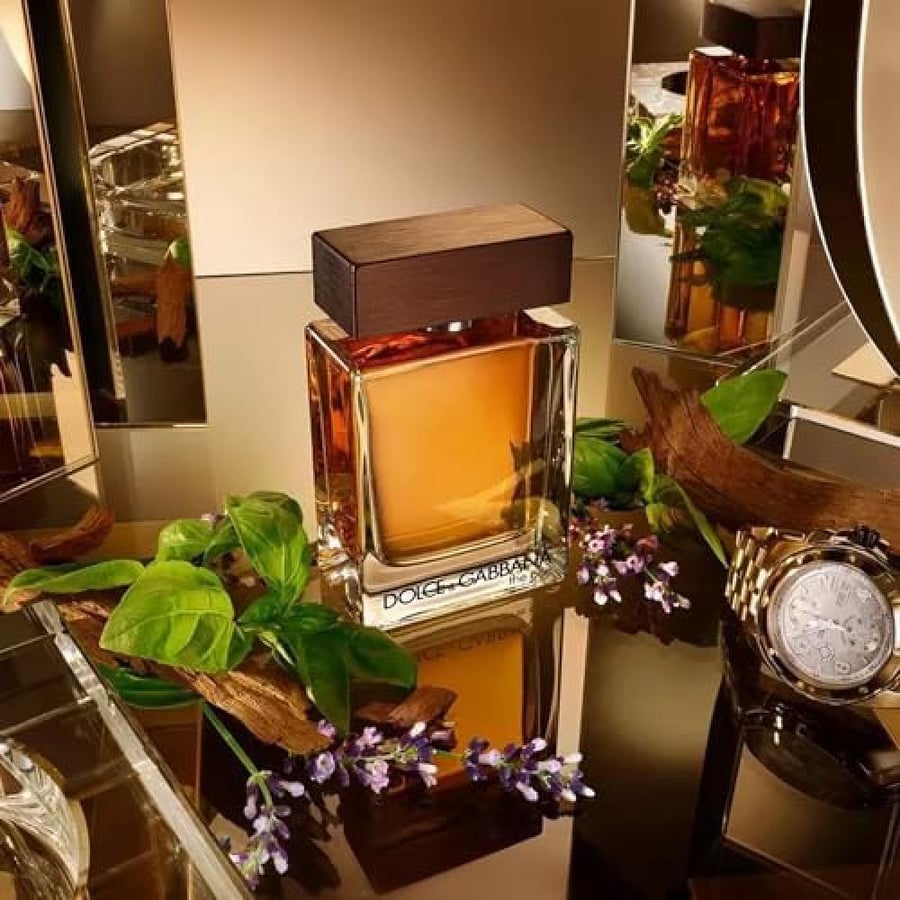 عطر دولتشي غابانا ذا ون الرجالي تواليت 100 مل