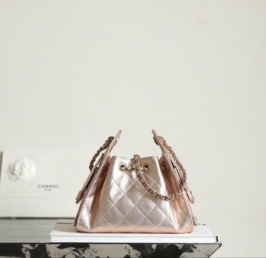 Chanel 25 Mini   bag