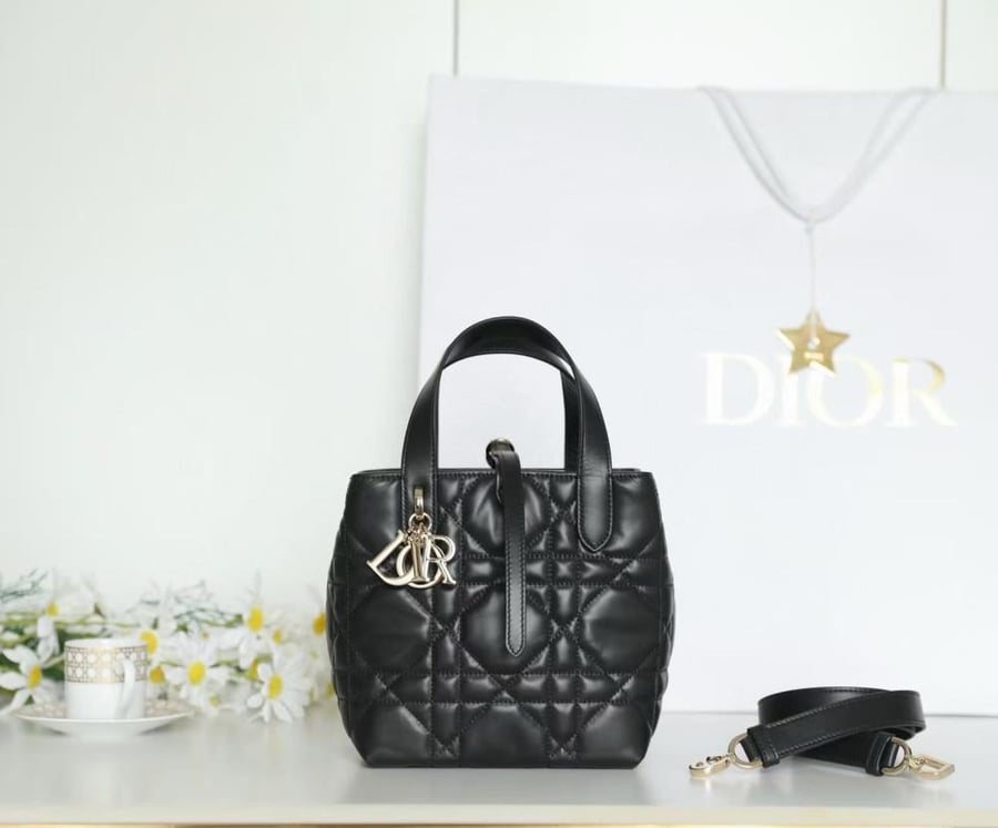 DIOR TOUJOURS Black mini