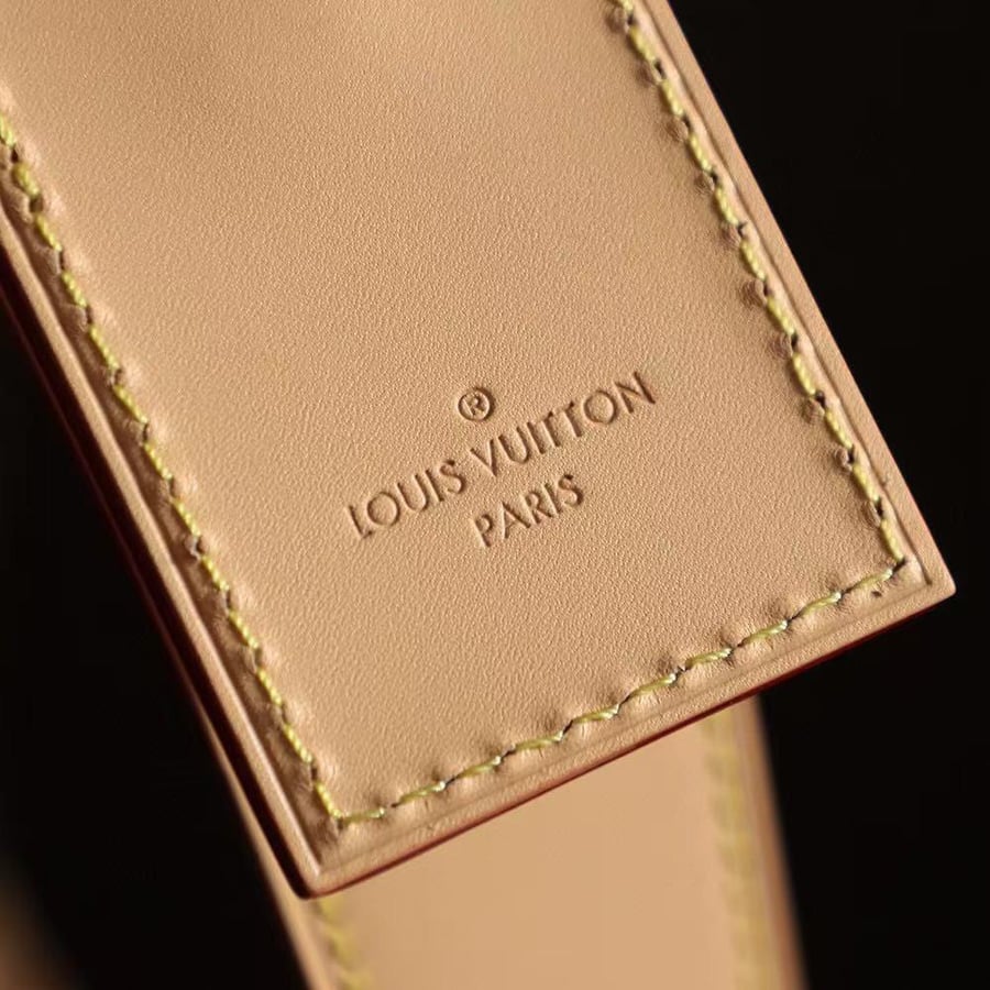 Louis Vuitton Slouchy Bag PM