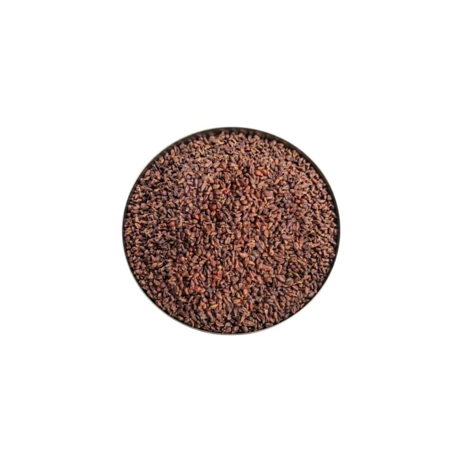 بذور العنب