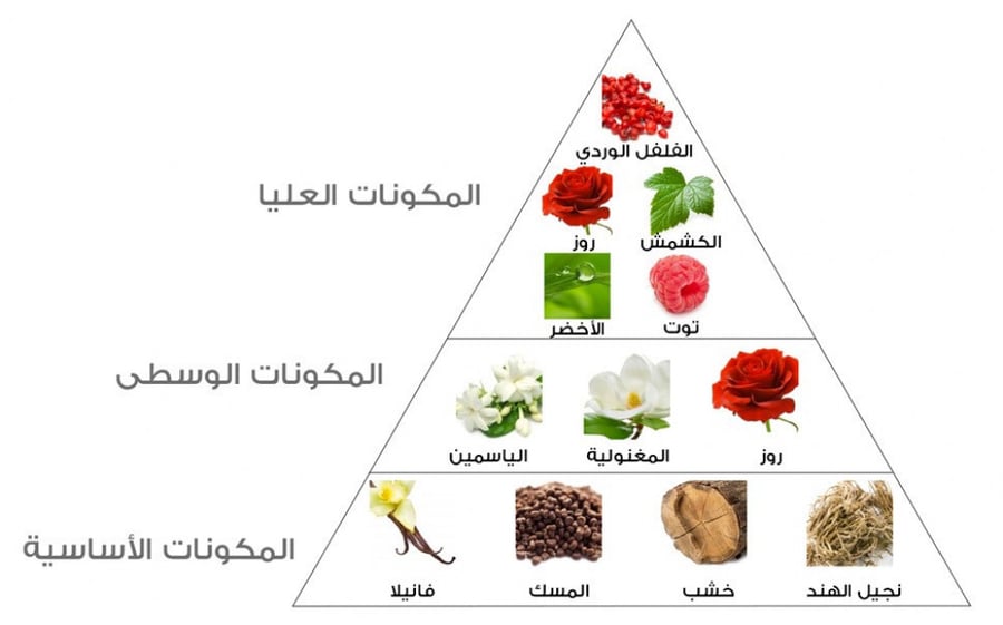 عطر استي لودر مودرن ميوز لو روج اود  بارفيوم - 50 مل