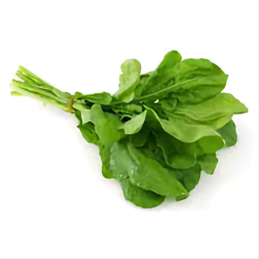 arugula bunch