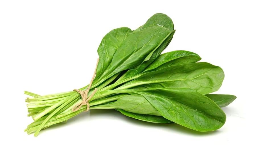 سبانخ