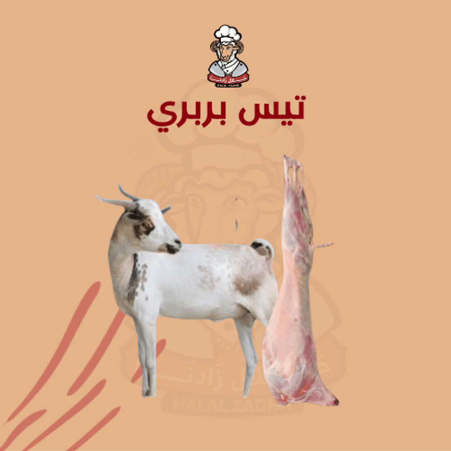 تيس بربري جذع وزن 13 - 15 كيلو
