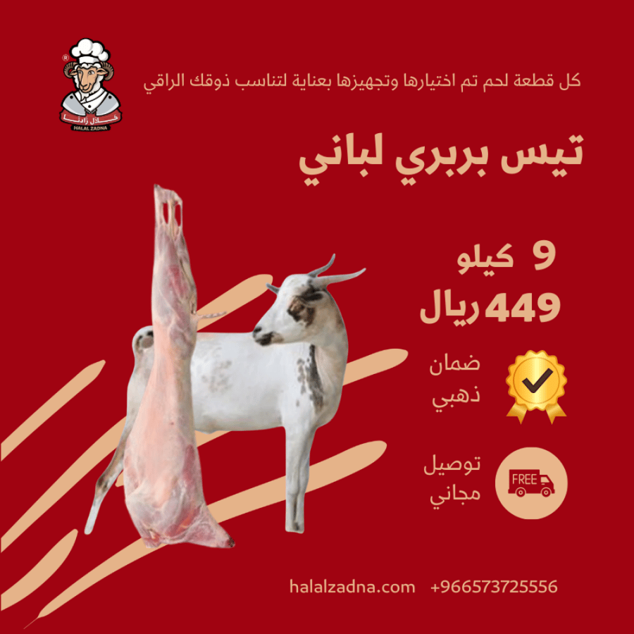 تيس بربري لباني وزن 7- 9 كيلو