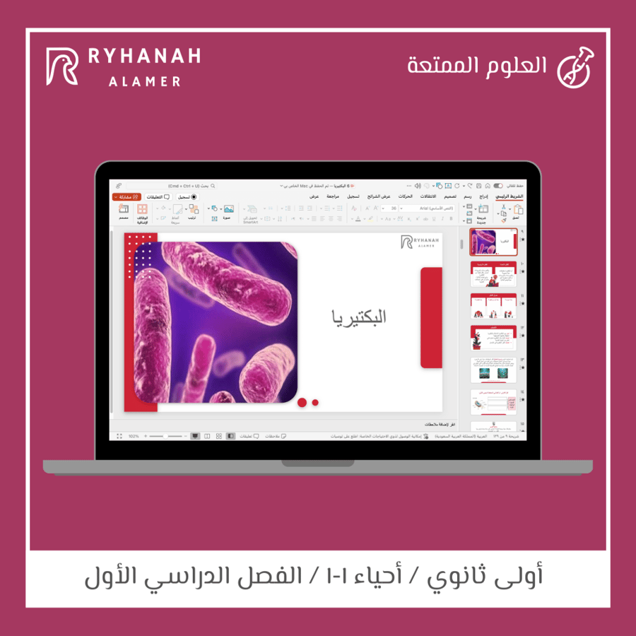 6- البكتيريا