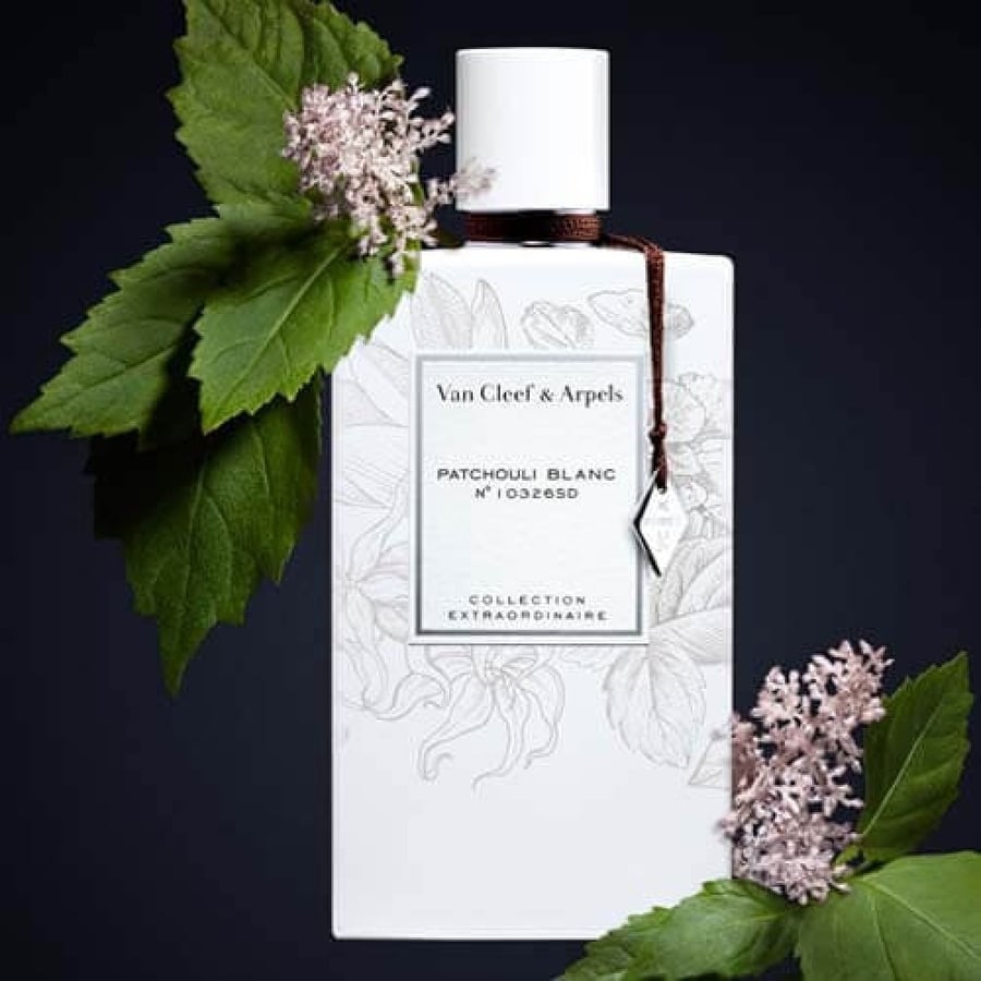عطر فان كليف سانتال بلانك Van Cleef Arpels Collection Extraordin