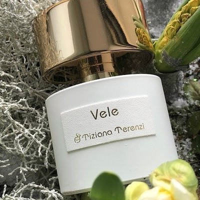 عطر تيزيانا تيرينزي فيلي Tiziana Terenzi vele parfum