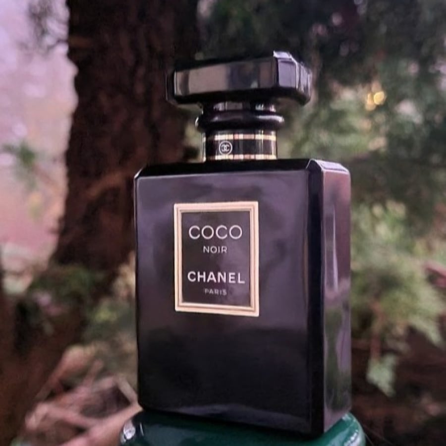 عطر شانيل كوكو شانيل نوير chanel coco chanel noir parfum