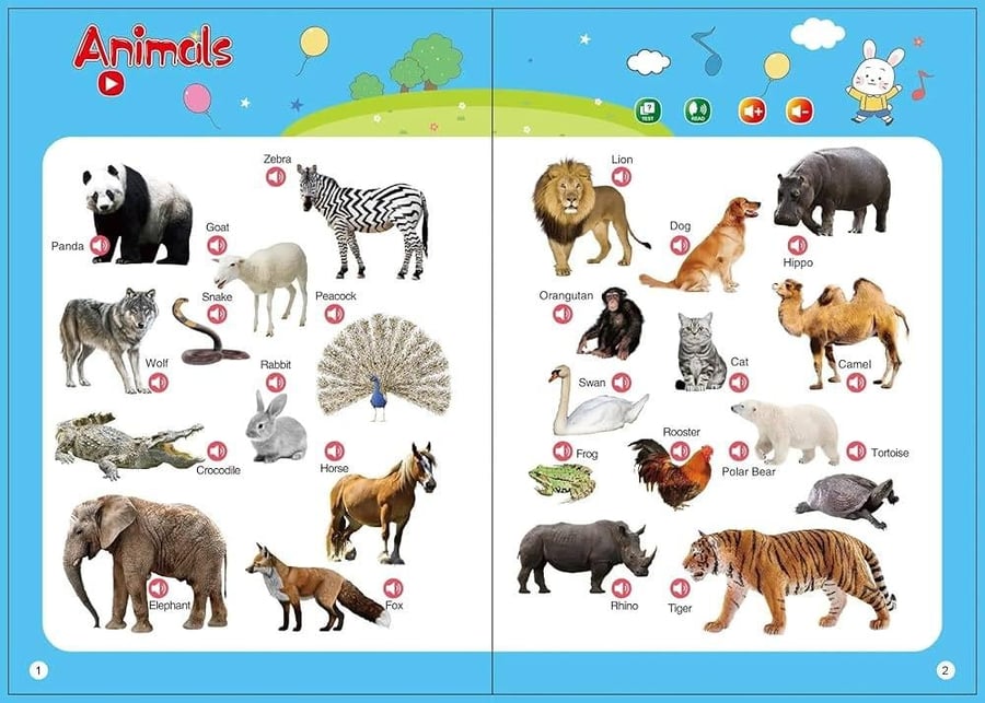 كتاب إنجليزي تفاعلي للأطفال يحتوي على محتوى تعليمي باللغة الإنجليزية ويتميز بتصميم جذاب مناسب للأعمار من 2-13  عاما