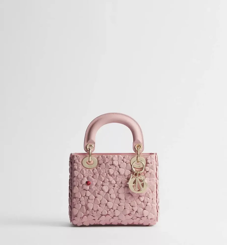 Mini Lady Dior Bag with Chain