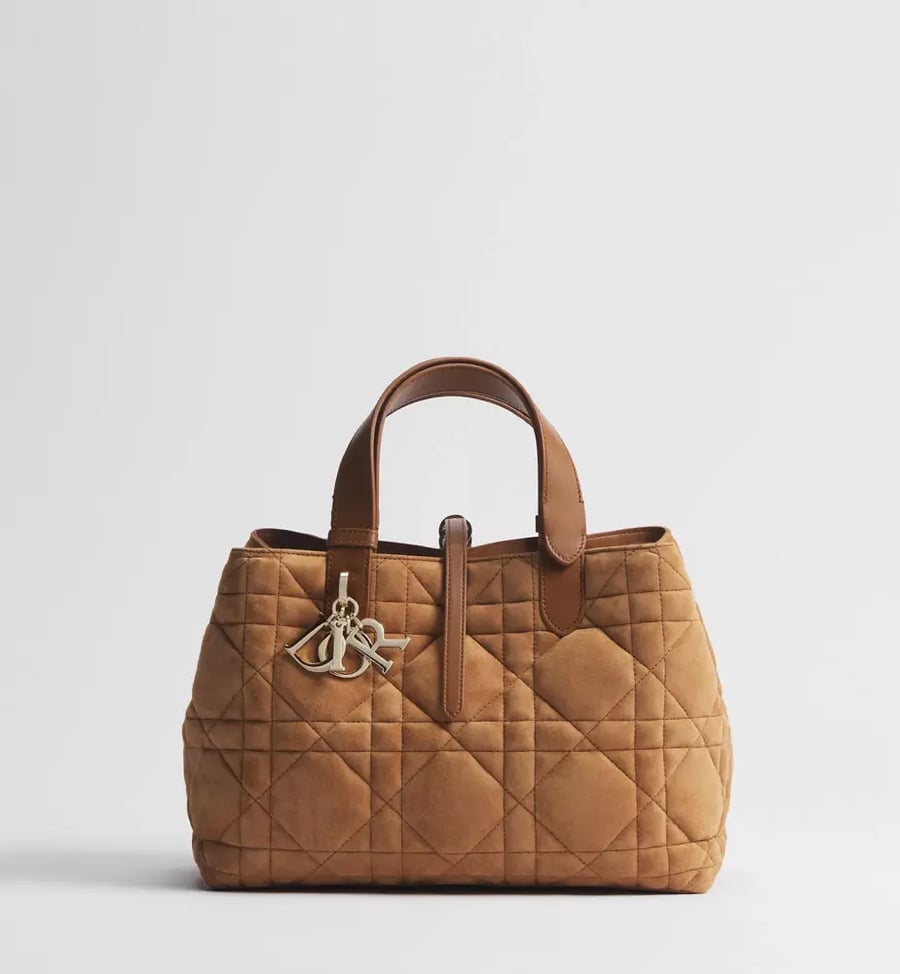 مقاس 23 سم Medium Dior Toujours Bag