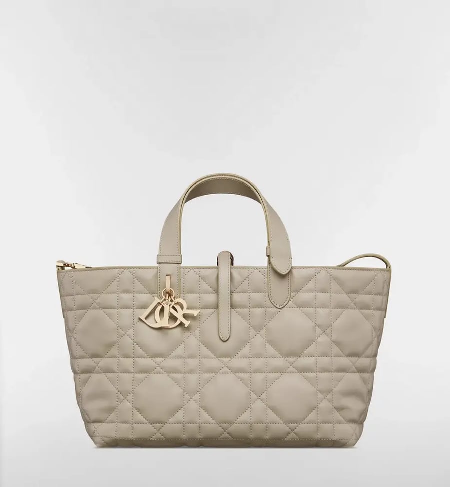 مقاس 23 سم Medium Dior Toujours Bag