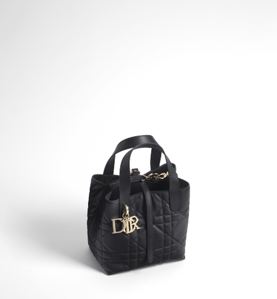 مقاس 18.5سم Small Dior Toujours Vertical Tote Bag