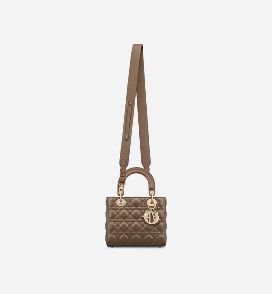 Small Lady Dior My ABCDior Bag