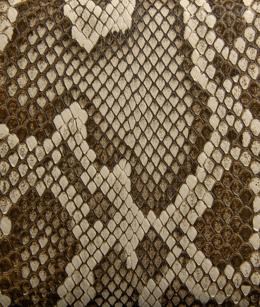 KNOT