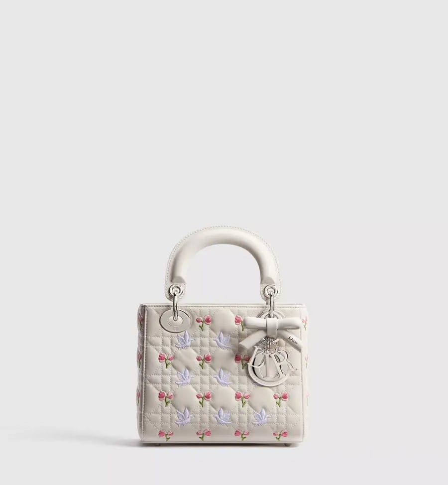 Mini Lady Dior Bag with Chain