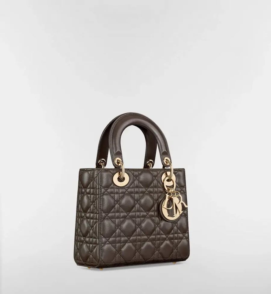 Small Lady Dior My ABCDior Bag