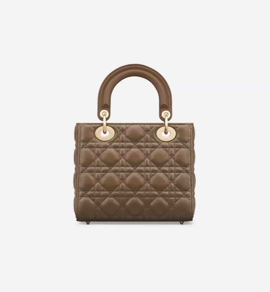 Small Lady Dior My ABCDior Bag