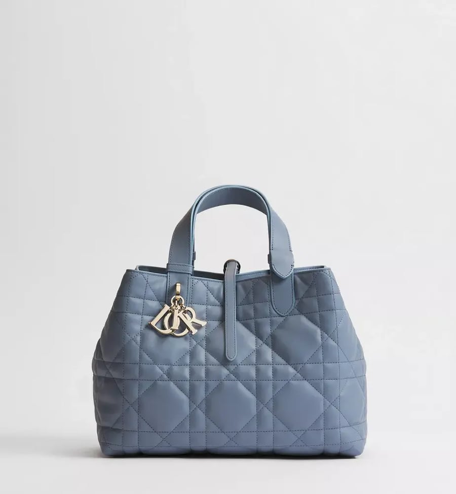 مقاس 23 سم Medium Dior Toujours Bag