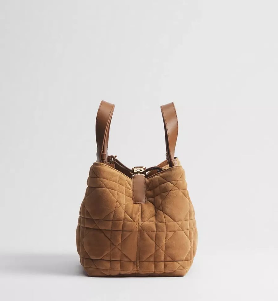 مقاس 23 سم Medium Dior Toujours Bag