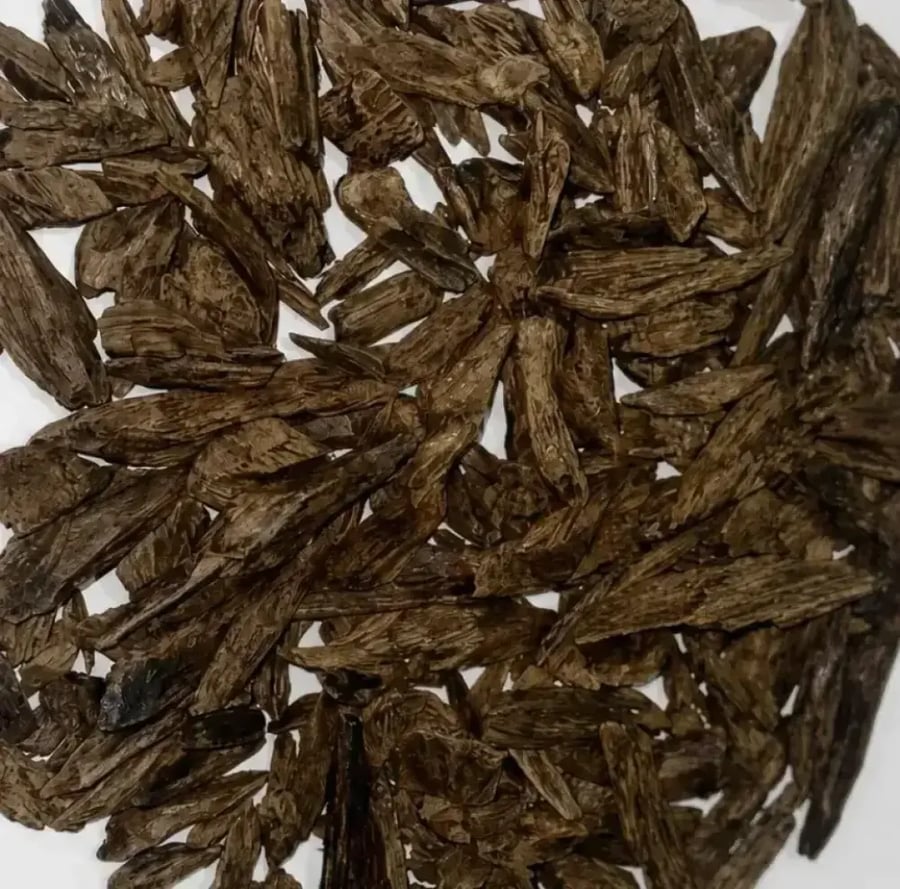 أمبوني محسن درجة اولى نص كيلو