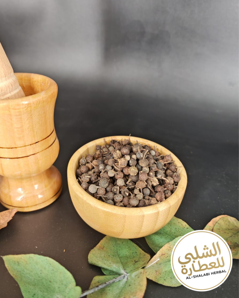 كباب صيني