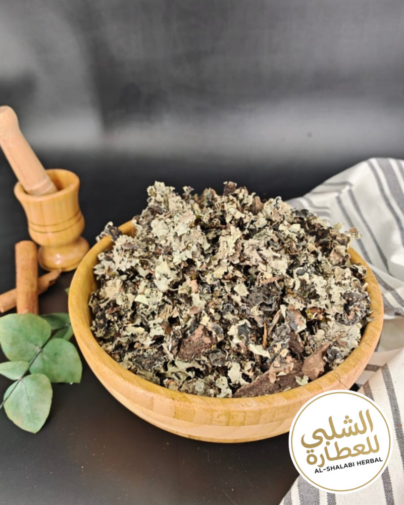 شيبة