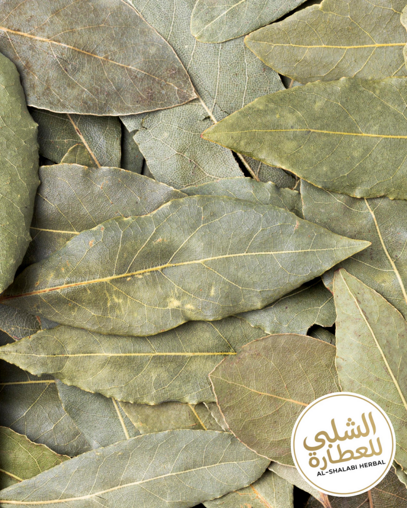 ورق غار