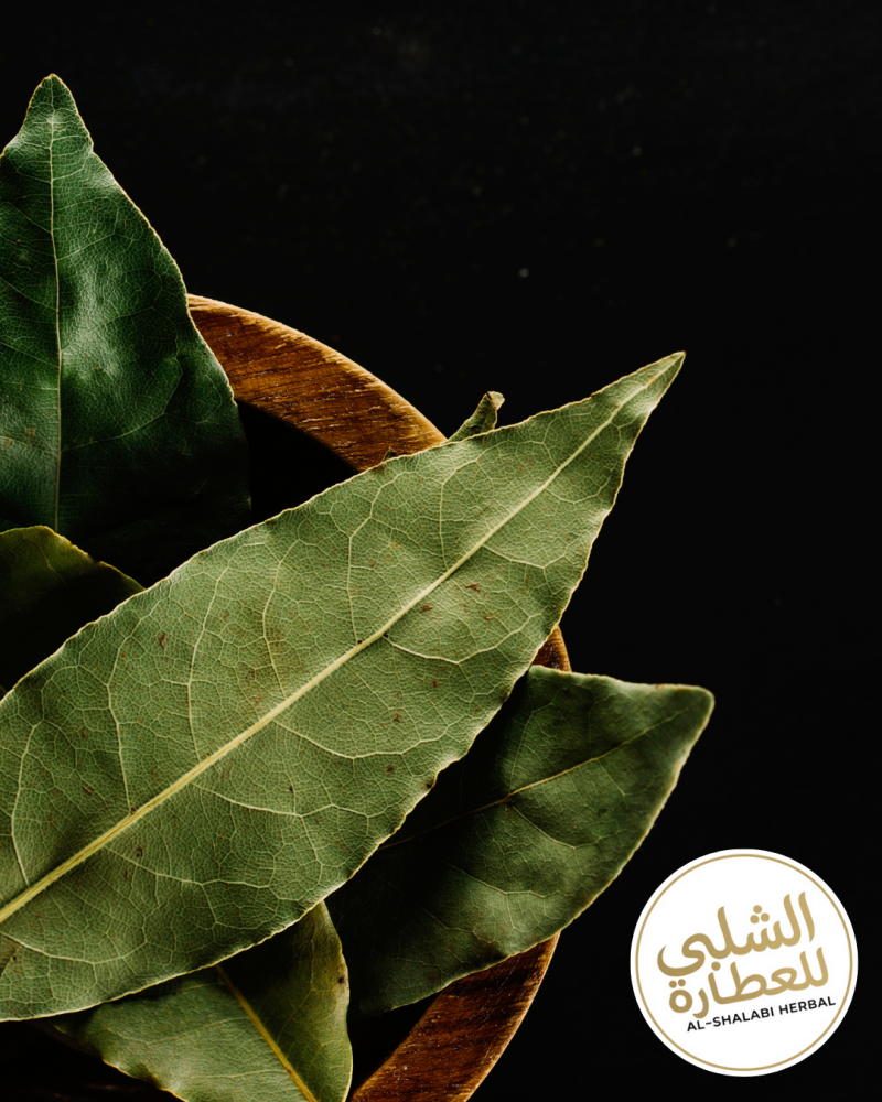 ورق غار