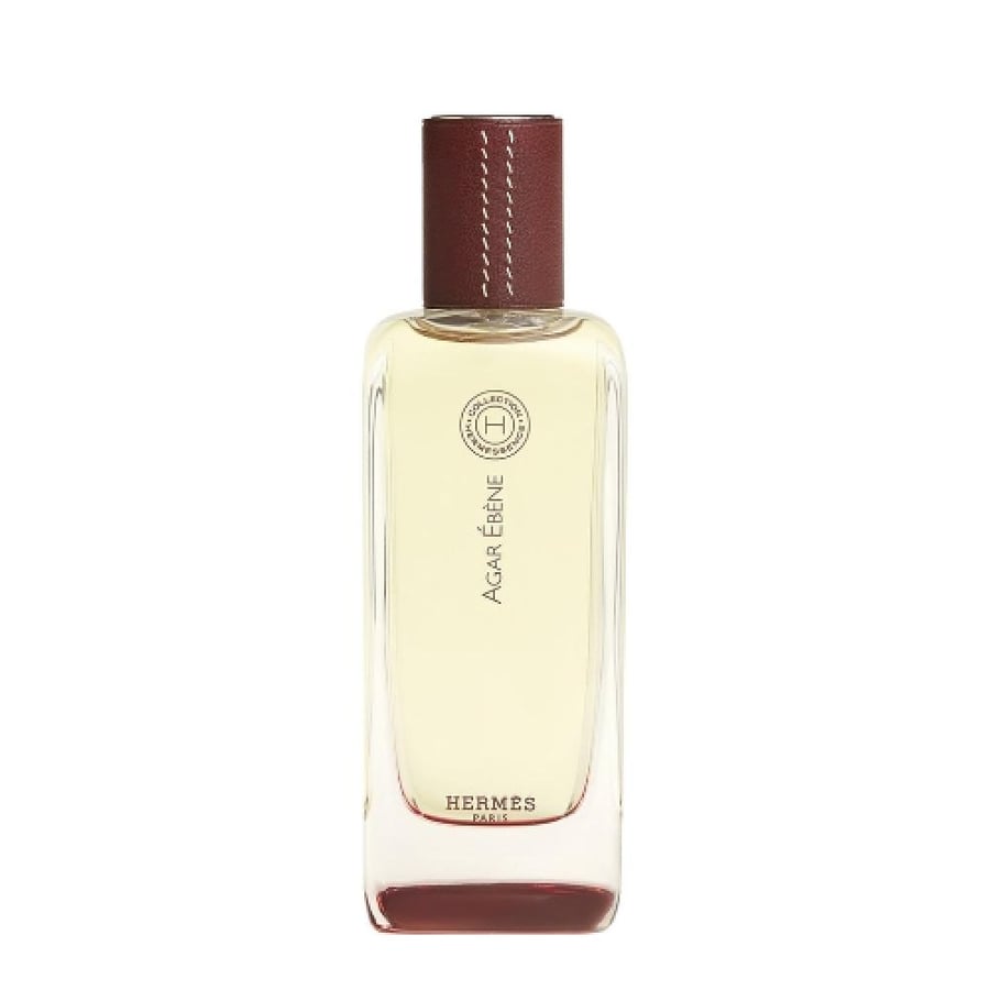 عطر هيرميس أجار إيبيني أو دو تواليت 100 مل