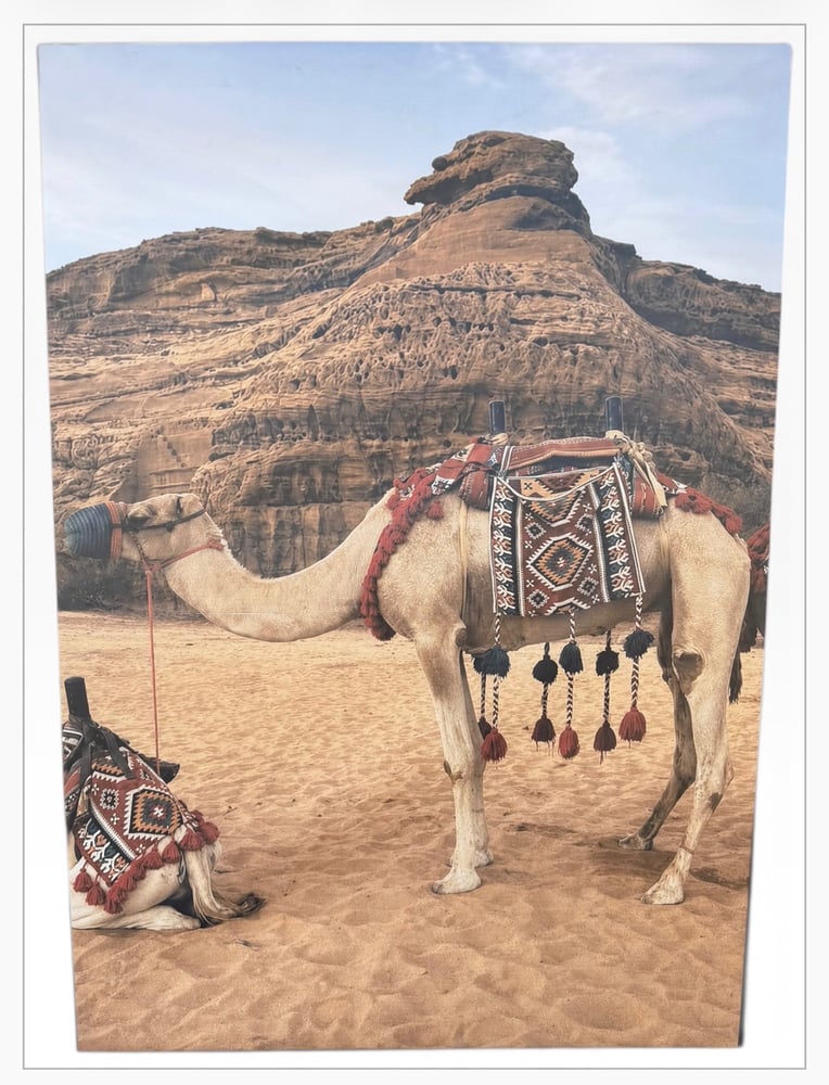 لوحات جدارية 90x130