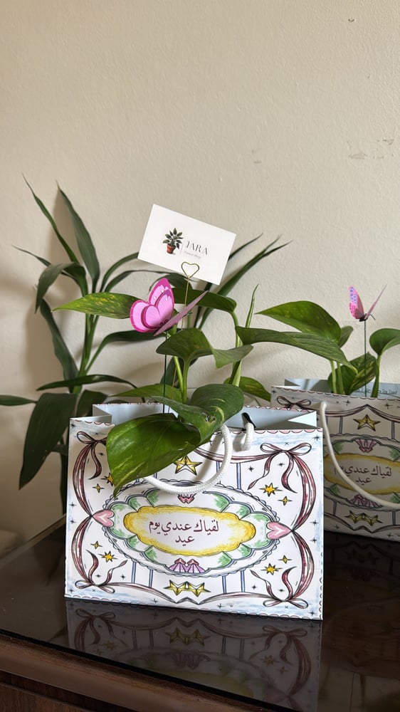 نبتة بوتس وسط بكج العيد