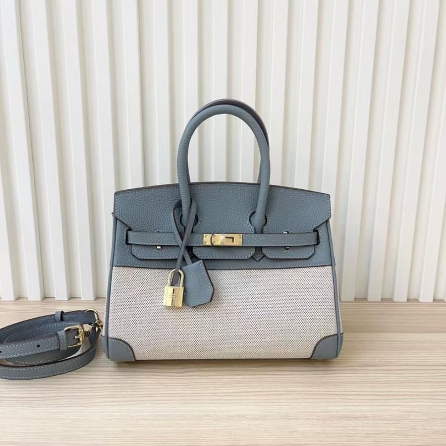 Hermes Birkin 25 Canvas & Leather