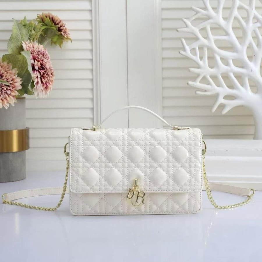 شنطة Dior