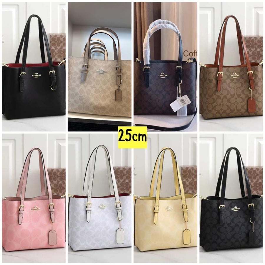 Coach Signature Tote 25