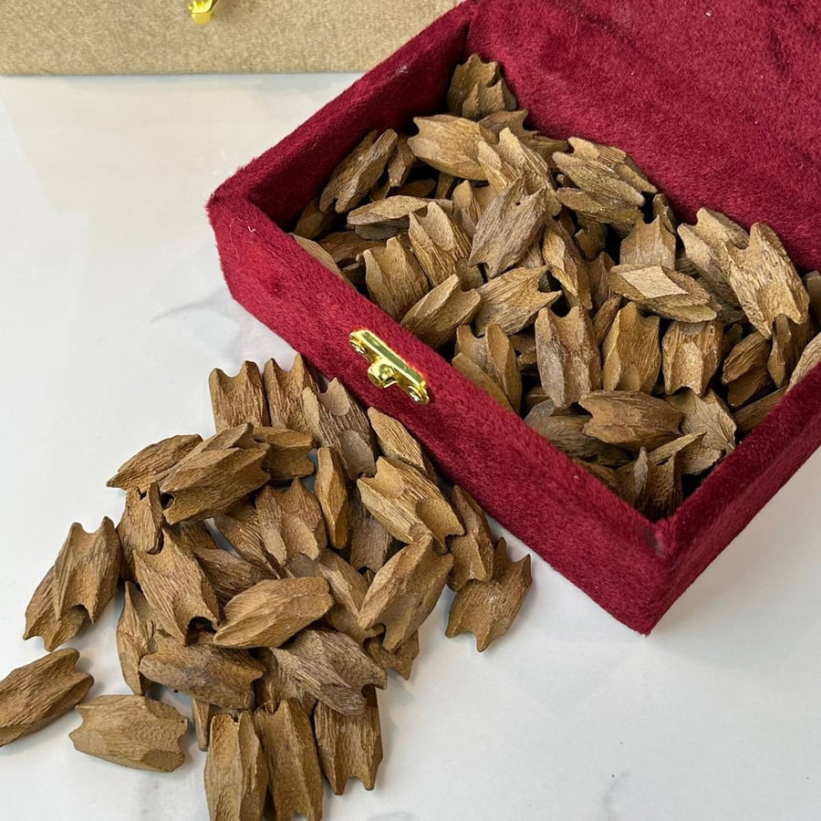 عود الفراشة
