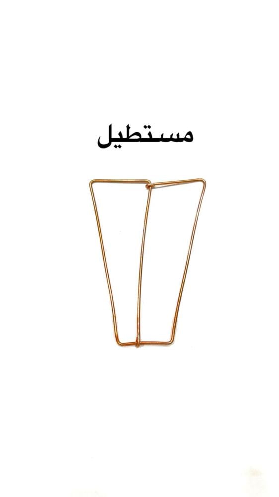عظم شبك ظهر حمام