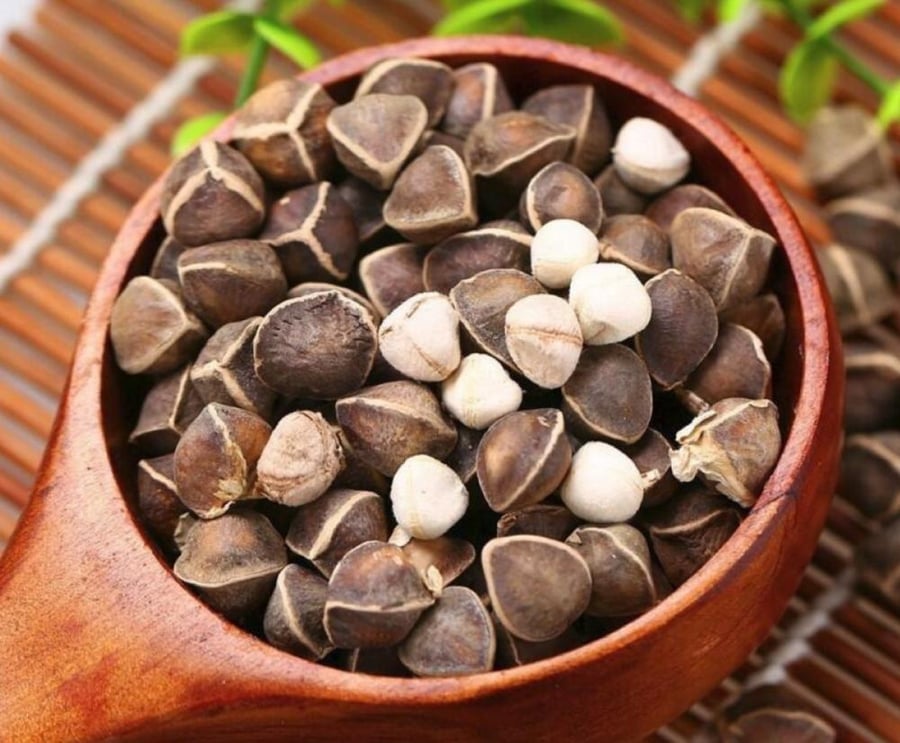 مسحوق المورينجا الاوليفيرا 150جم (قطاف رضوى)