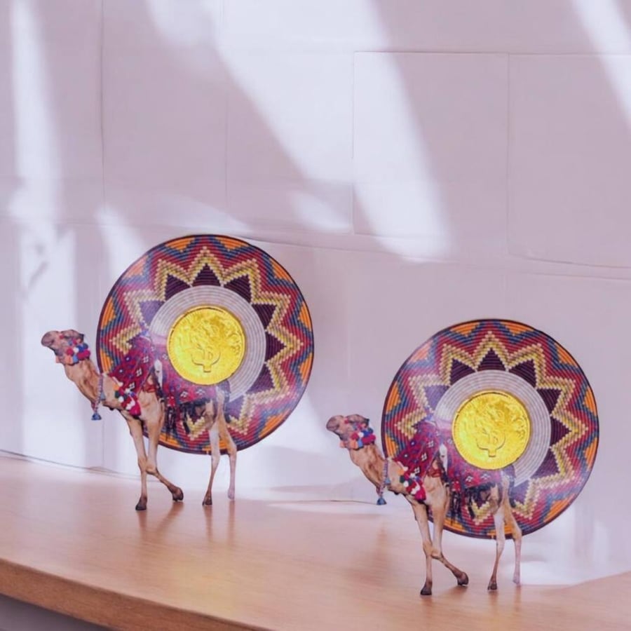 Chocolate coins distribution, 12 pieces