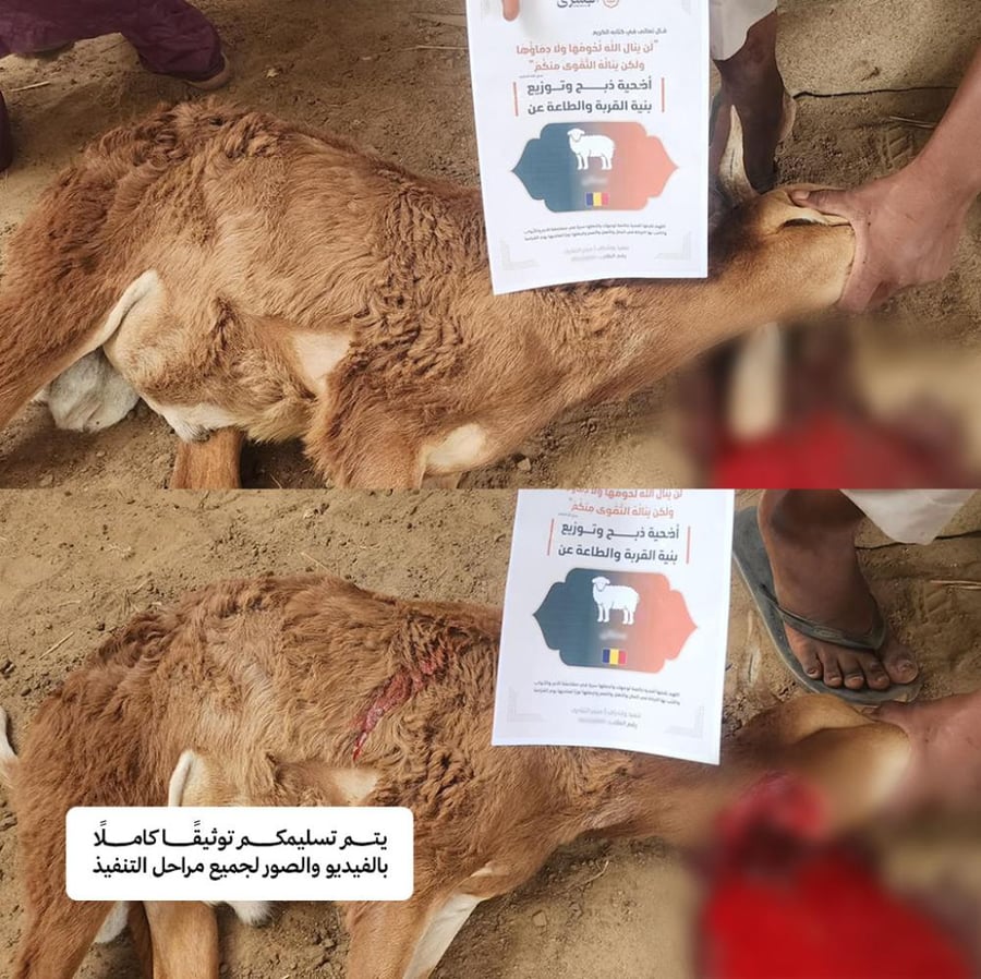 الخروف