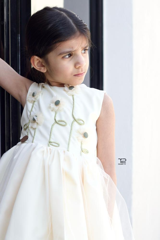 Dress with hand-embroidered decoration (remaining piece)