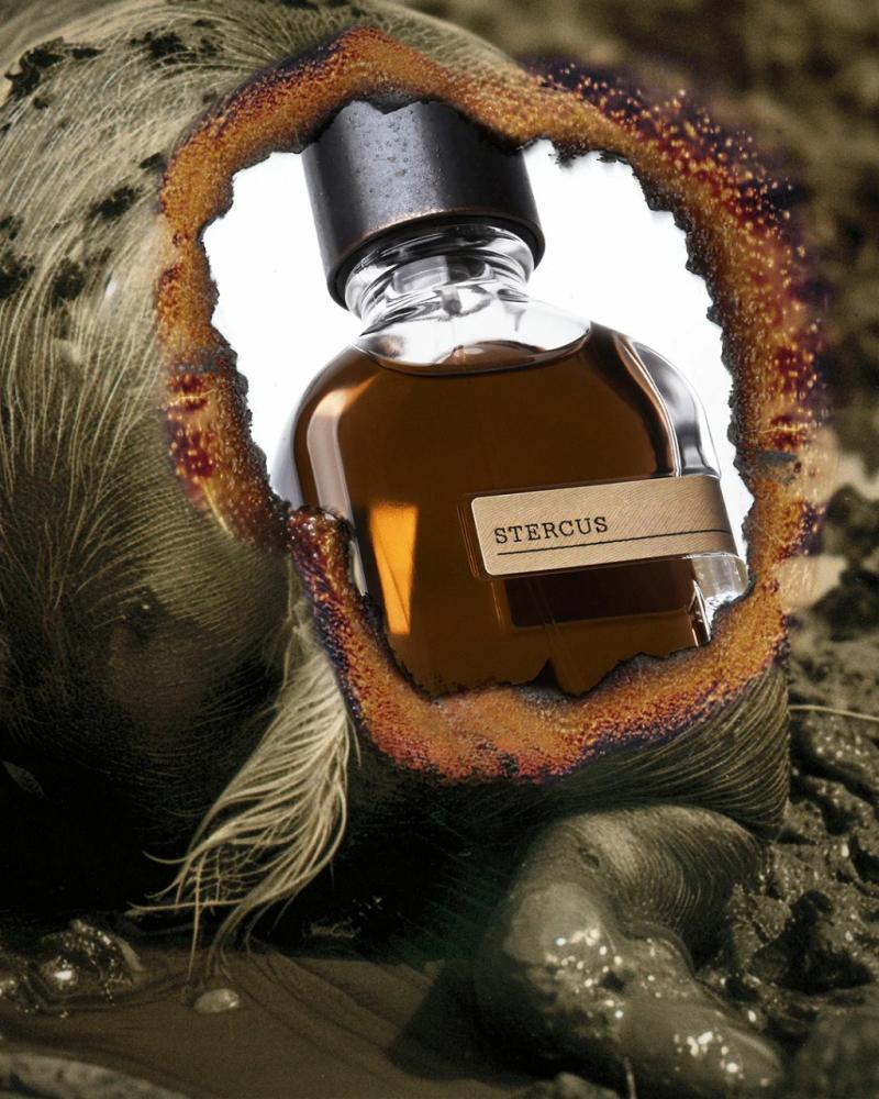 عطر ستيركوس من اورتو باريسي او دو بارفيوم 50 مل