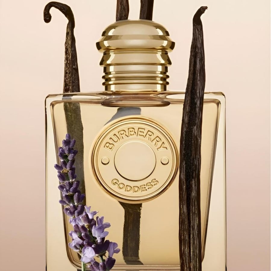 عطر بربري جوديس النسائي او دو بارفيوم 100 مل