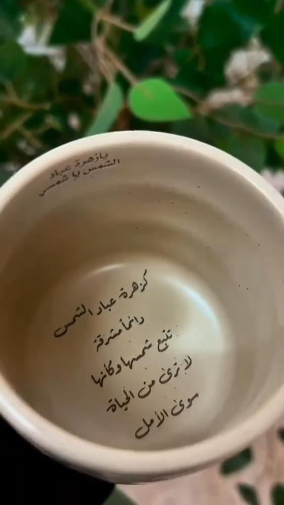 فنجال ورد الاقحوان الصيفي